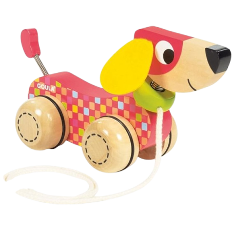 Cane trainabile per bambini dai 12 mesi