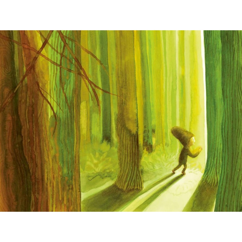 Illustrazioni ad acquarello per il libro Amico albero di Terre di Mezzo