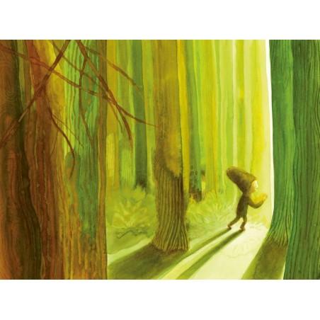 Illustrazioni ad acquarello per il libro Amico albero di Terre di Mezzo