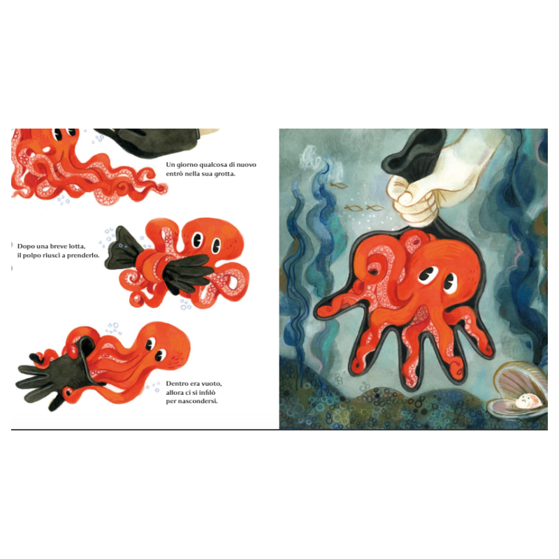 Un estratto delle illustrazioni del libro La libertà del polpo di Terre di Mezzo Un estratto delle illustrazioni del libro La libertà del polpo di Terre di Mezzo