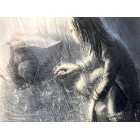 Le illustrazioni dai colori tenui come disegnate a matita del libro Tempesta di Terre di Mezzo Le illustrazioni dai colori tenui come disegnate a matita del libro Tempesta di Terre di Mezzo