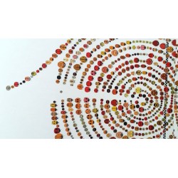 La spirale che fanno le coccinelle per salvarsi nel libro La gara delle coccinelle di Terre di Mezzo