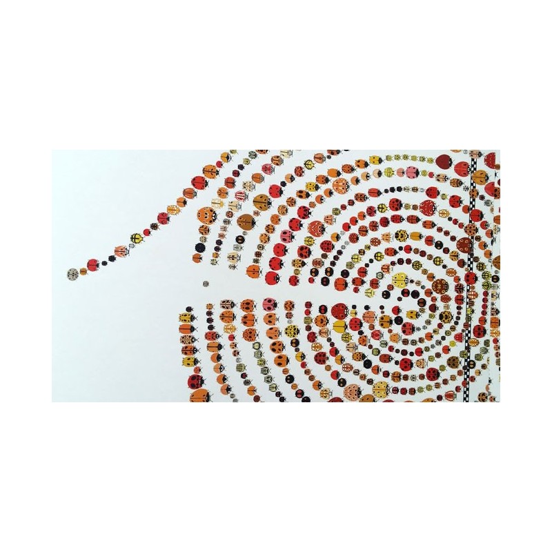 La spirale che fanno le coccinelle per salvarsi nel libro La gara delle coccinelle di Terre di Mezzo