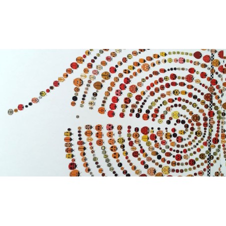La spirale che fanno le coccinelle per salvarsi nel libro La gara delle coccinelle di Terre di Mezzo