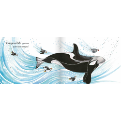 la lunga avventura dell'orca nel libro Sposta la montagna di Caissa Italia la lunga avventura dell'orca nel libro Sposta la montagna di Caissa Italia