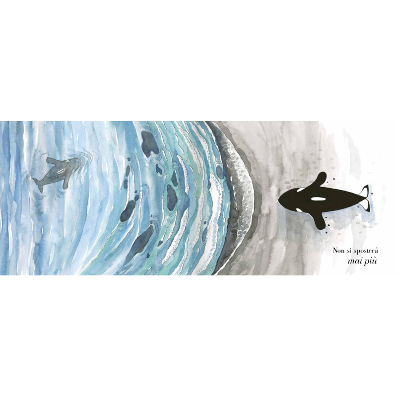 Riusciranno i piccoli puffin a spostare l'orca del libro Sposta la montagna di Caissa Italia? Riusciranno i piccoli puffin a spostare l'orca del libro Sposta la montagna di Caissa Italia?