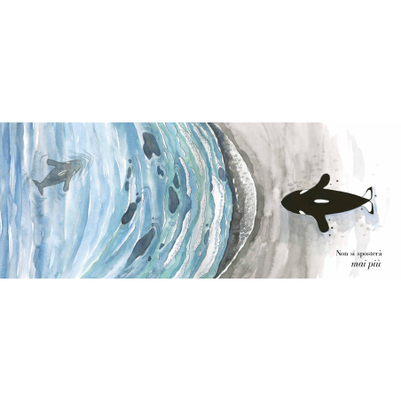 Riusciranno i piccoli puffin a spostare l'orca del libro Sposta la montagna di Caissa Italia? Riusciranno i piccoli puffin a spostare l'orca del libro Sposta la montagna di Caissa Italia?