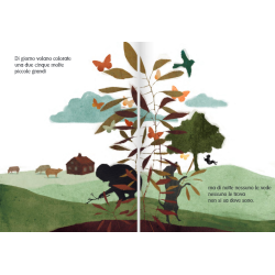 Tante curiosità sulle farfalle nel libro Ma dove vanno a dormire di notte le farfalle? di Caissa Italia Tante curiosità sulle farfalle nel libro Ma dove vanno a dormire di notte le farfalle? di Caissa Italia