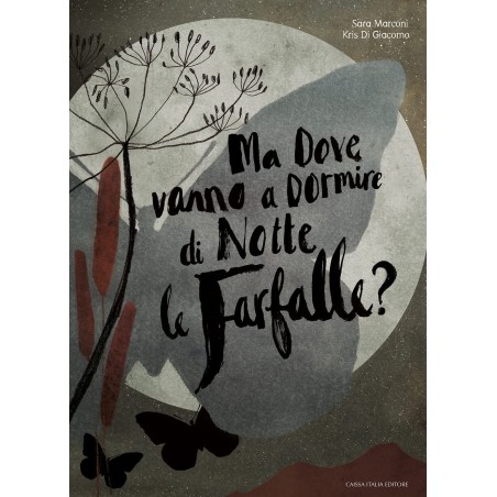 La copertina del libro Ma dove vanno a dormire di notte le farfalle? di Caissa Italia