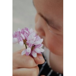 Seminario Genitorialità - L’importanza dell’esperienza sensoriale nella fascia 0-6 anni