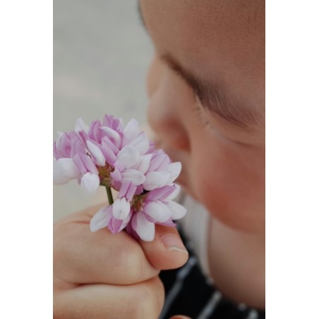 Seminario Genitorialità - L’importanza dell’esperienza sensoriale nella fascia 0-6 anni