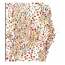 Tutte le coccinelle che partono compatte verso l'obiettivo nel silent book La gara delle coccinelle di Terre di Mezzo Tutte le coccinelle che partono compatte verso l'obiettivo nel silent book La gara delle coccinelle di Terre di Mezzo