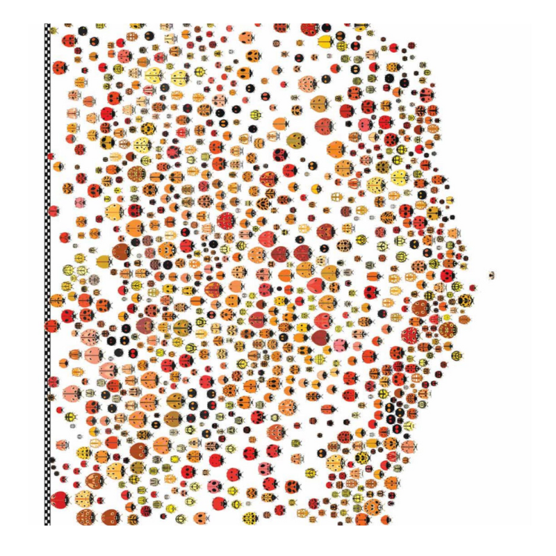 Tutte le coccinelle che partono compatte verso l'obiettivo nel silent book La gara delle coccinelle di Terre di Mezzo Tutte le coccinelle che partono compatte verso l'obiettivo nel silent book La gara delle coccinelle di Terre di Mezzo