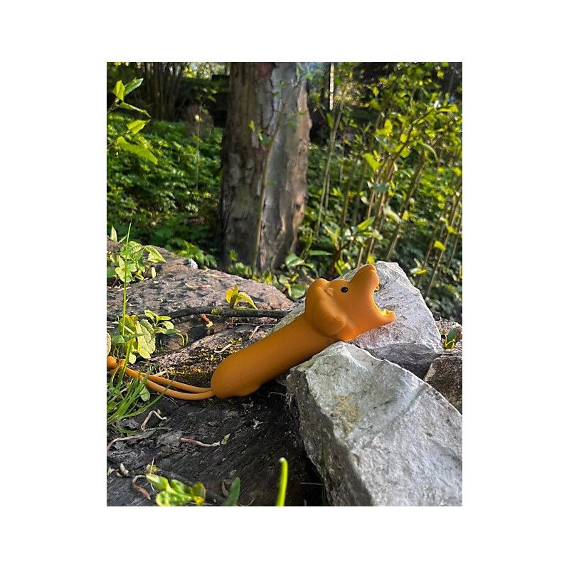 Il Leone della savana per questa simpatica torcia per bambini di Rabbit & Friends