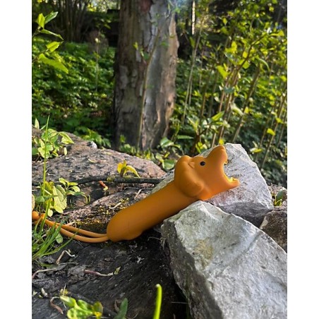 Il Leone della savana per questa simpatica torcia per bambini di Rabbit & Friends