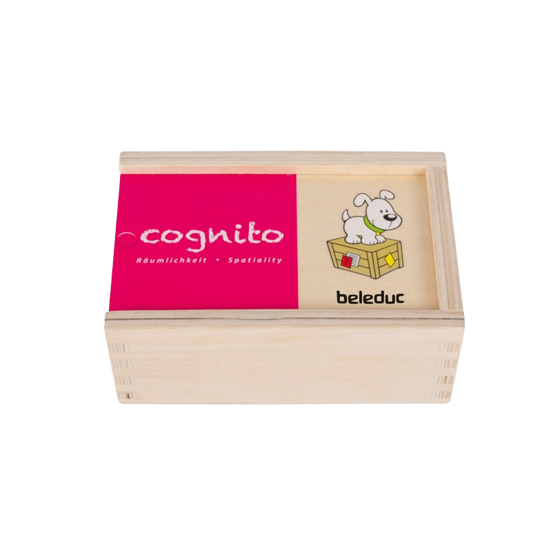 La scatola di legno del puzzle Cognito Spaziality