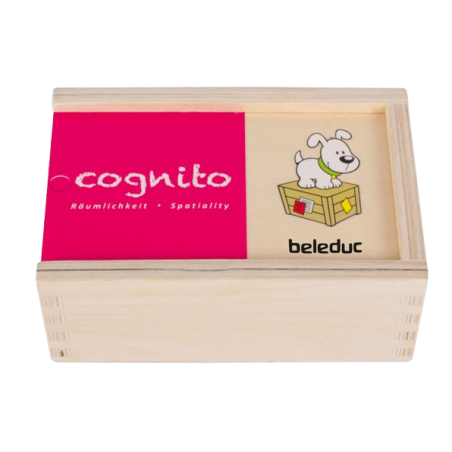 La scatola di legno del puzzle Cognito Spaziality