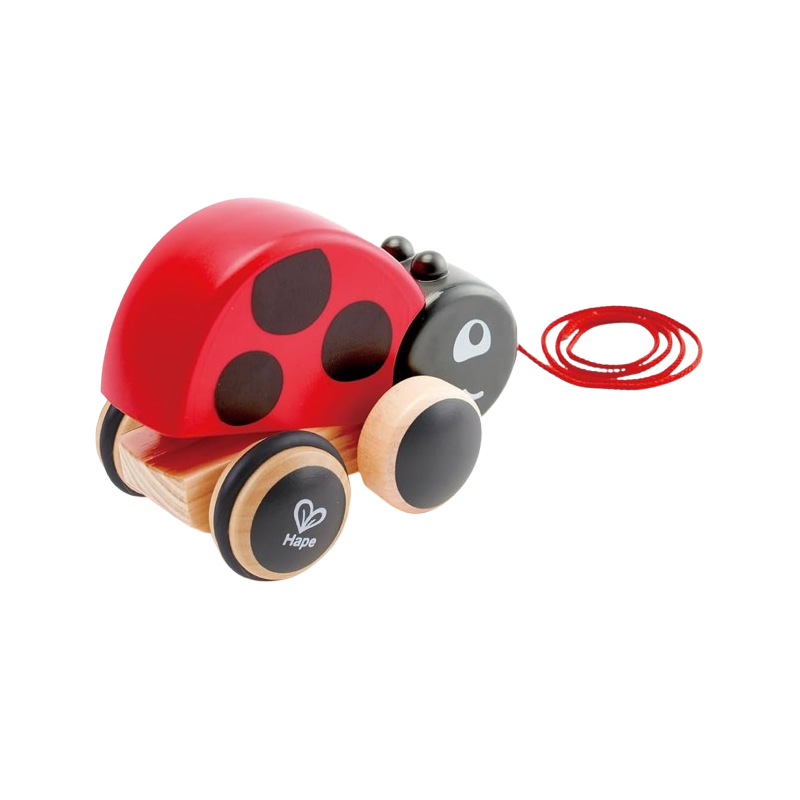 La Coccinella trainabile in legno sicuro e resistente della Hape La Coccinella trainabile in legno sicuro e resistente della Hape