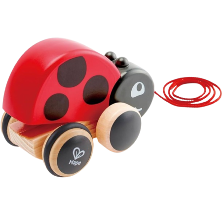 La Coccinella trainabile in legno sicuro e resistente della Hape La Coccinella trainabile in legno sicuro e resistente della Hape