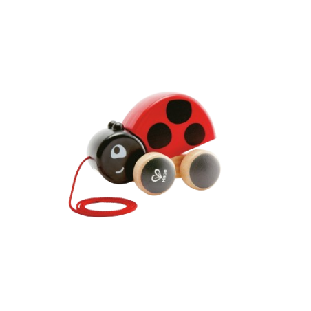 La Coccinella trainabile di Hape può essere trasportata ovunque grazie al cordoncino
