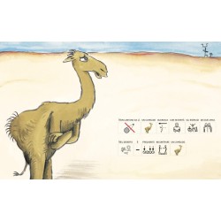 Arriverà un cammello che riporterà i due protagonisti con i piedi per terra!