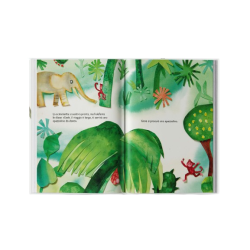 Alcuni degli animali che la scimmietta Gioia incontrerà nella foresta Alcuni degli animali che la scimmietta Gioia incontrerà nella foresta