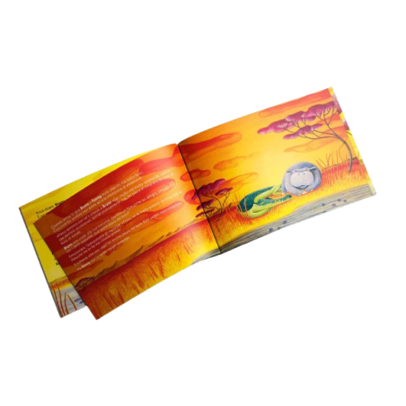 Colori caldi e avvolgenti quelli delle illustrazioni della storia Passo dopo passo di Storiedichi Edizioni Colori caldi e avvolgenti quelli delle illustrazioni della storia Passo dopo passo di Storiedichi Edizioni