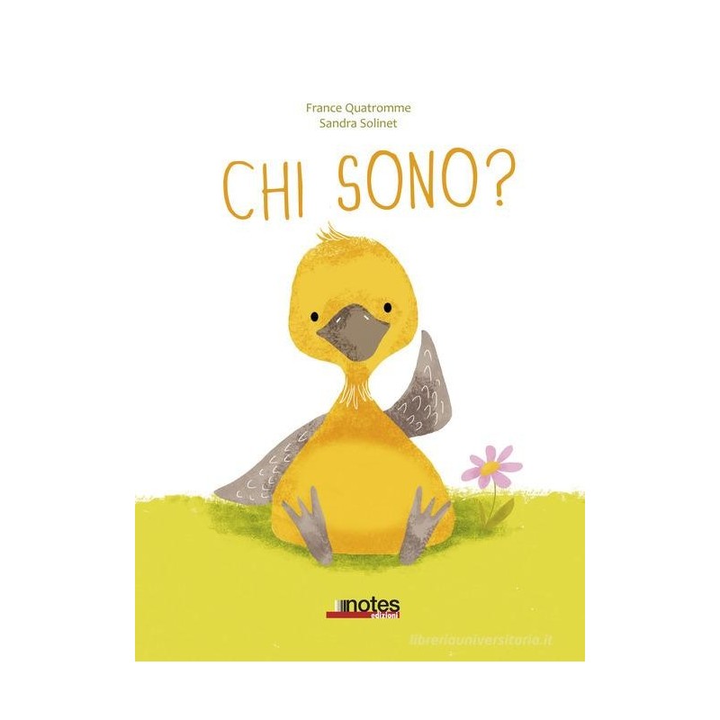 La copertina del libro Chi sono? di Notes Edizioni