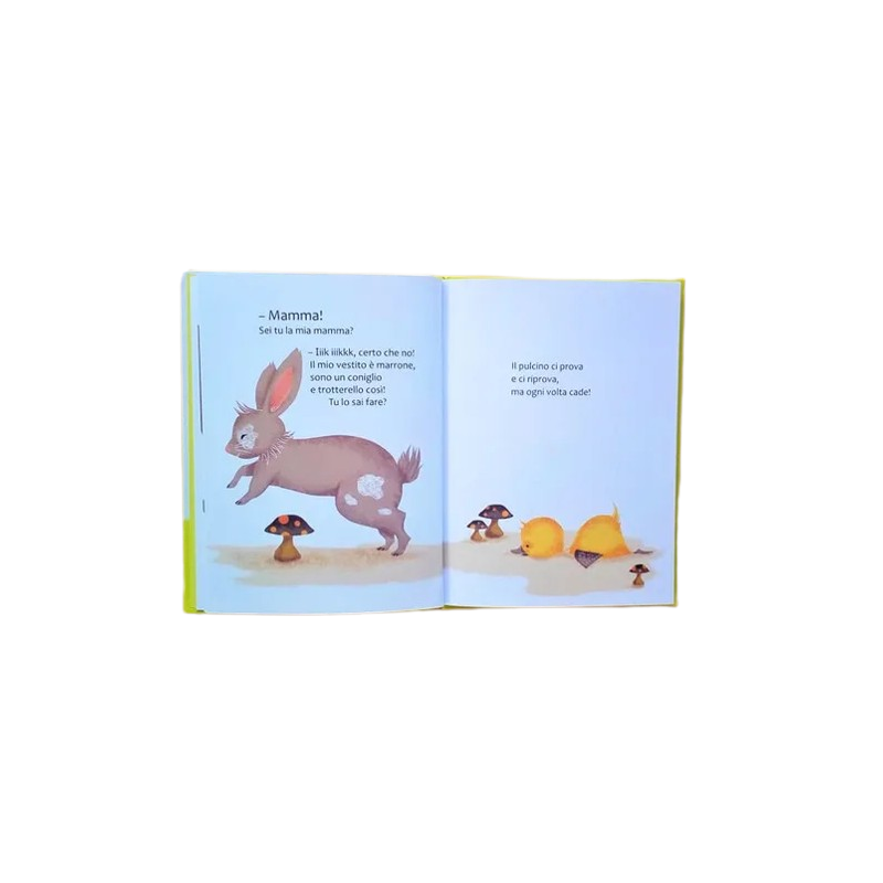 La storia del pulcino che cerca la sua mamma nel libro Chi sono? di Notes Edizioni La storia del pulcino che cerca la sua mamma nel libro Chi sono? di Notes Edizioni