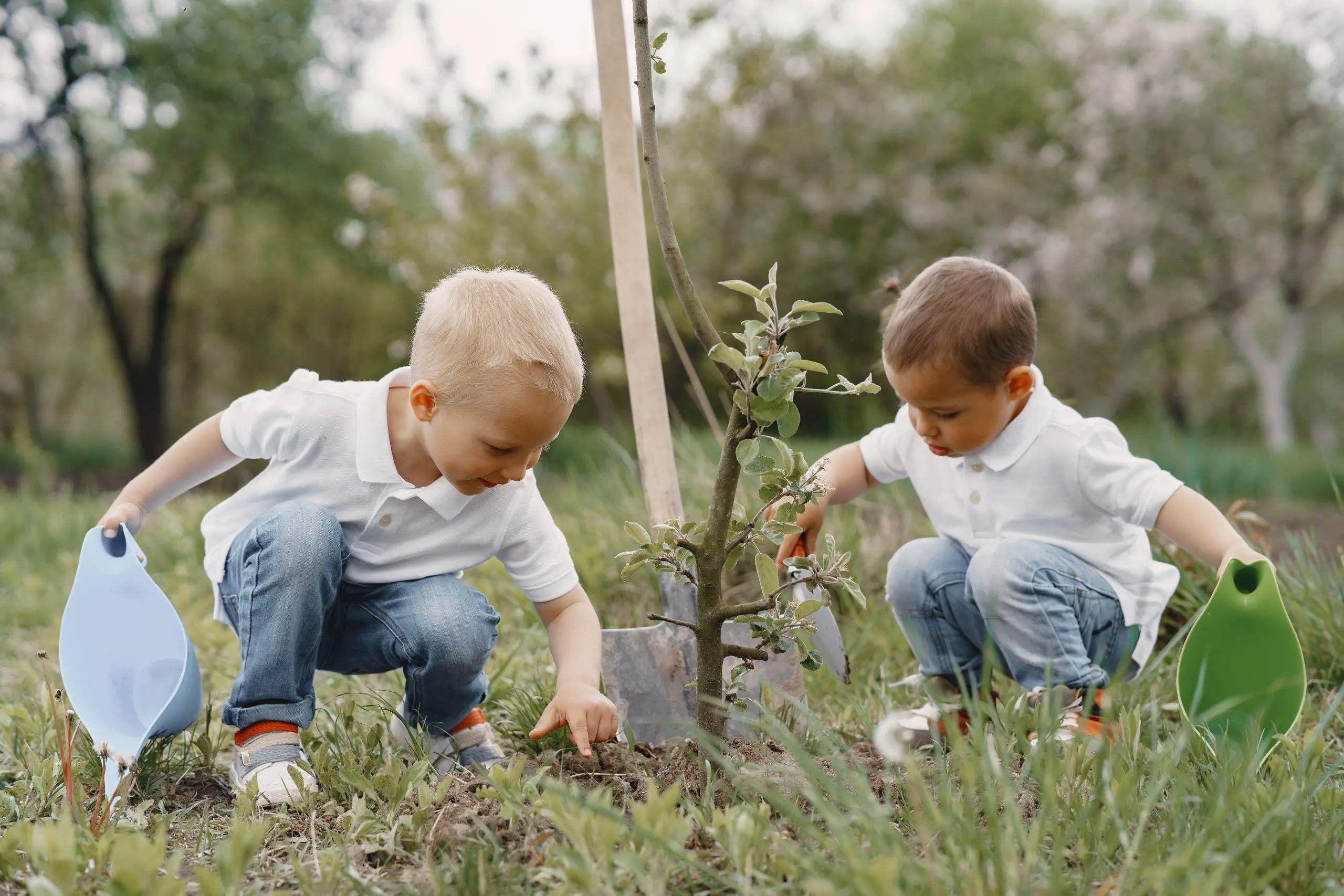 Libri per bambini sulla natura