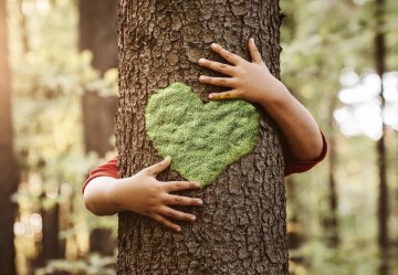 Libri per bambini per raccontare la natura e l'ambiente